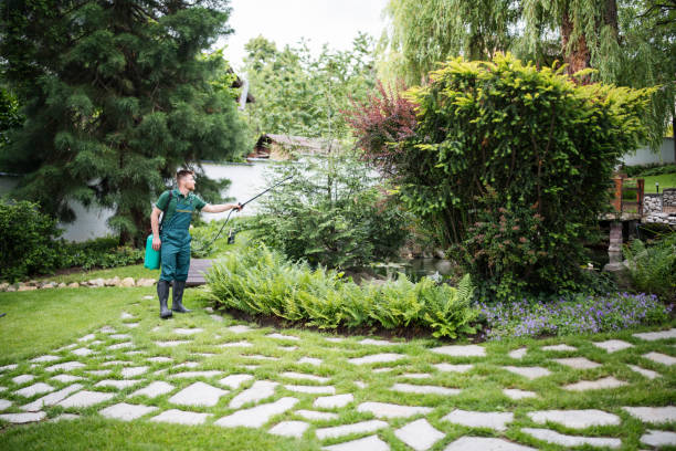 Best Mosquito Control Services  in Crompond, NY