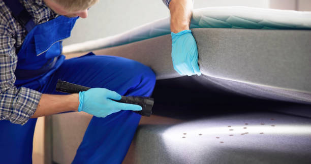 Best Commercial Pest Control Services  in Crompond, NY