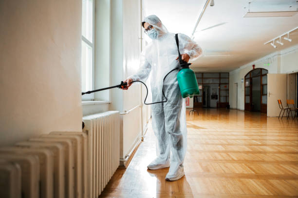 Best Flea Control Services  in Crompond, NY