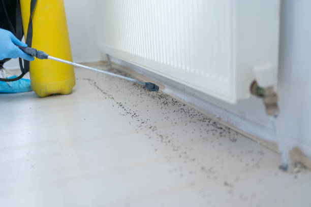 Best Emergency Pest Control  in Crompond, NY